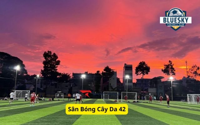 Sân Bóng Cây Da 42